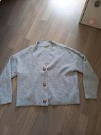 Vest Only, Ophalen of Verzenden, Zo goed als nieuw, Maat 38/40 (M)