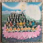 Lp / Gearge harrison / dark horse, Cd's en Dvd's, Vinyl | Pop, Ophalen of Verzenden, 1960 tot 1980, Zo goed als nieuw, 12 inch