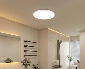 Plafondlamp beschikbaar voor biedingen