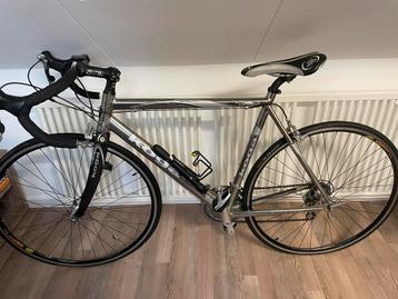 Koga miyata racefiets maat 56 gentslux carbolite voorvork beschikbaar voor biedingen