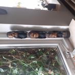 Houten beeld apen., Ophalen
