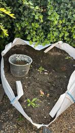 Gratis Tuinaarde - 1 Kuub, Tuin en Terras, Aarde en Mest, Ophalen, Tuinaarde