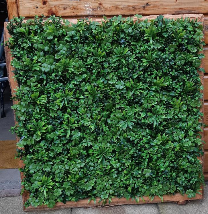 Natuurschilderij, Antiek en Kunst, Kunst | Schilderijen | Klassiek, Ophalen