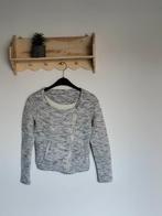 Grijs vest maat S met schuine rits, Kleding | Dames, Truien en Vesten, Ophalen of Verzenden, Zo goed als nieuw, Maat 38/40 (M)