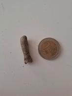 Fossiel: Onbekend object, Ophalen, Fossiel