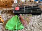 Caviahok, Dieren en Toebehoren, Kooi, Gebruikt, 75 tot 110 cm, Cavia