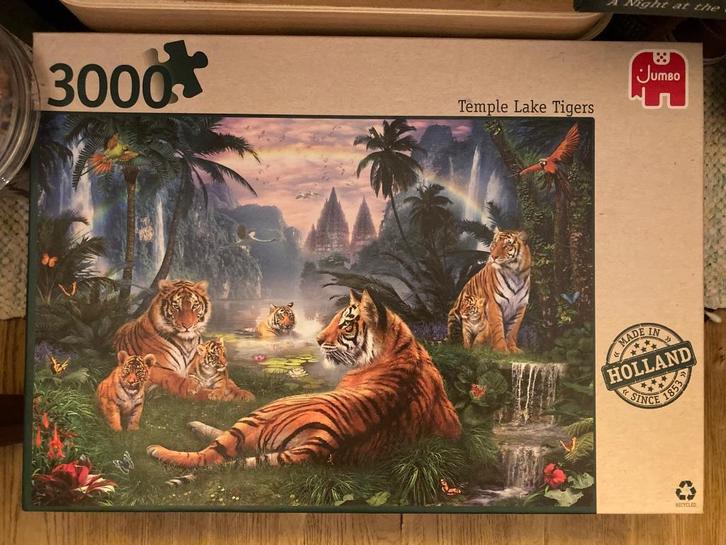 Puzzel 3000 stukjes, Hobby en Vrije tijd, Denksport en Puzzels, Zo goed als nieuw, Meer dan 1500 stukjes, Ophalen of Verzenden