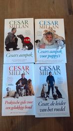 Vier boeken van Cesar Milan - the dog whisperer, Ophalen of Verzenden, Zo goed als nieuw
