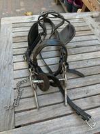 Paarden hoofdstellen, Dieren en Toebehoren, Paarden en Pony's | Hoofdstellen en Tuigage, Ophalen of Verzenden, Gebruikt, Recreatie