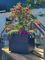 Bloempot, Tuin en Terras, Ophalen, Overige materialen, Vierkant, Nieuw