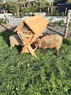 nieuw gemaakte Douglas hooiruif, Meerdere dieren, Schaap