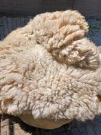 Verse ongewassen schapenwol- schapen wol, Ophalen, Nieuw, Spinwol