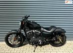 Harley Davidson Chopper XL 883N Sportster Iron | Vance Hines, Motoren, Motoren | Harley-Davidson, Chopper, Bedrijf, 883 cc, 12 t/m 35 kW