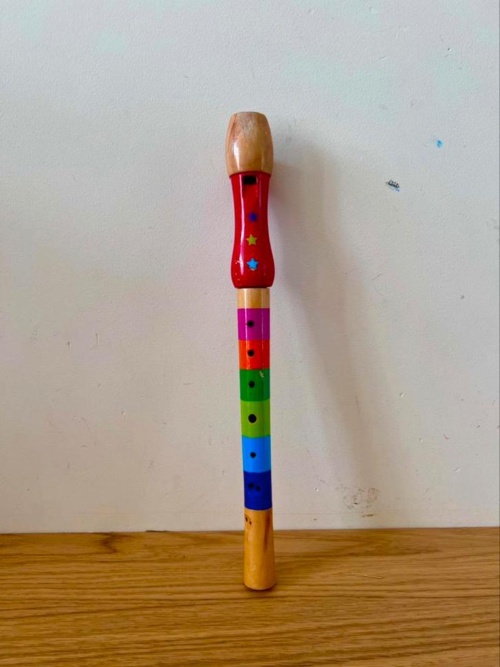 Kleurrijke houten kinder blokfluit, Muziek en Instrumenten, Blaasinstrumenten | Blokfluiten, Gebruikt, Ophalen