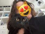 Cat sitter in Amstelveen - Kattenoppas in Amstelveen, Ophalen of Verzenden, Zo goed als nieuw, Overige diersoorten