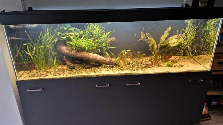 Groot aquarium 720L incl. verlichting, filter en toebehoren, Dieren en Toebehoren, Vissen | Aquaria en Toebehoren, Zo goed als nieuw