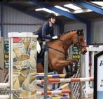 Lieve E springpony, bomproof en volledig uitgerust, Dieren en Toebehoren, E pony (1.48m - 1.57m), Gechipt, Ruin, Springpony