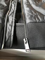 Hugo boss body warmer, Ophalen, Nieuw