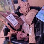 Diverse stukken hout en steen voor aquarium | Bieden, Dieren en Toebehoren, Vissen | Aquaria en Toebehoren, Nieuw, Plant(en), Steen of Hout