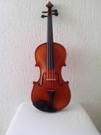 Gliga Gems II viool - Nieuw - 40% korting!, Muziek en Instrumenten, Strijkinstrumenten | Violen en Altviolen, Ophalen of Verzenden