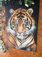 Canvas doek klein beetje verkleurd door de zon, Ophalen of Verzenden, Gebruikt