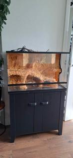 Terrarium 60x50x40 inclusief wand en kast, Ophalen, Zo goed als nieuw, Terrarium of Paludarium