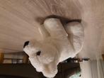 Schattige ijsbeer knuffel nieuw, Nieuw, Verzenden