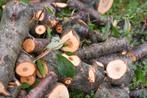 Gevraagd: hout voor Houtdraaien, Minder dan 3 m³, Ophalen, Overige houtsoorten, Blokken