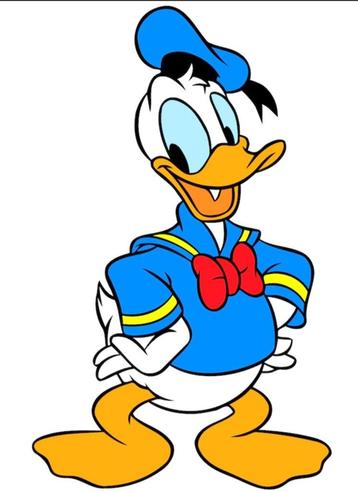 Diverse weekbladen Donald Duck (1979 tm 2023) beschikbaar voor biedingen