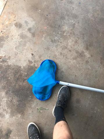 Telescoop aluminium schepnet 3 meter beschikbaar voor biedingen