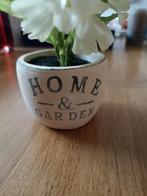 Klein potje met plastic bloemetjes, Ophalen