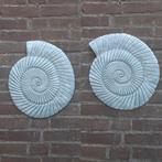 2 Schelpen fossielen wanddecoratie betonnen tuinbeelden, Tuin en Terras, Tuinwanddecoratie, Ophalen, Nieuw
