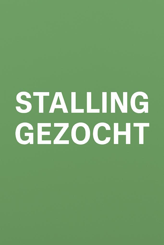 Stalling gezocht regio Breda!, Dieren en Toebehoren, Stalling en Weidegang, Stalling, Weidegang, 2 of 3 paarden of pony's