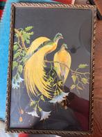 J. Halford Ross Tekening - Vogels op Tak, Antiek en Kunst, Kunst | Schilderijen | Klassiek, Ophalen of Verzenden