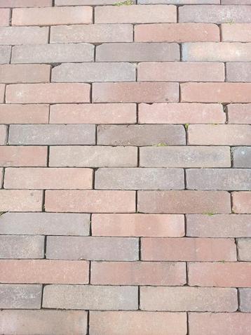 Restpartij Nieuw Gebakken Walen Rood-Bruin beschikbaar voor biedingen