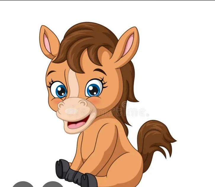 Spoed gezocht, Dieren en Toebehoren, Stalling en Weidegang, Stalling, Weidegang, 2 of 3 paarden of pony's