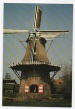 Erica Korenmolen Heidebloem, Ophalen, 1980 tot heden, Ongelopen, Drenthe