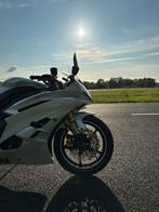 Yamaha YZF R6 RJ11 (2007) Quickshifter | Downblipper |, 4 cilinders, Motorrijbewijs A, Super Sport, Particulier