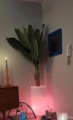 Plantenbak voor binnen met Verlichting, Ophalen, Zo goed als nieuw, Kunststof, 100 tot 150 cm