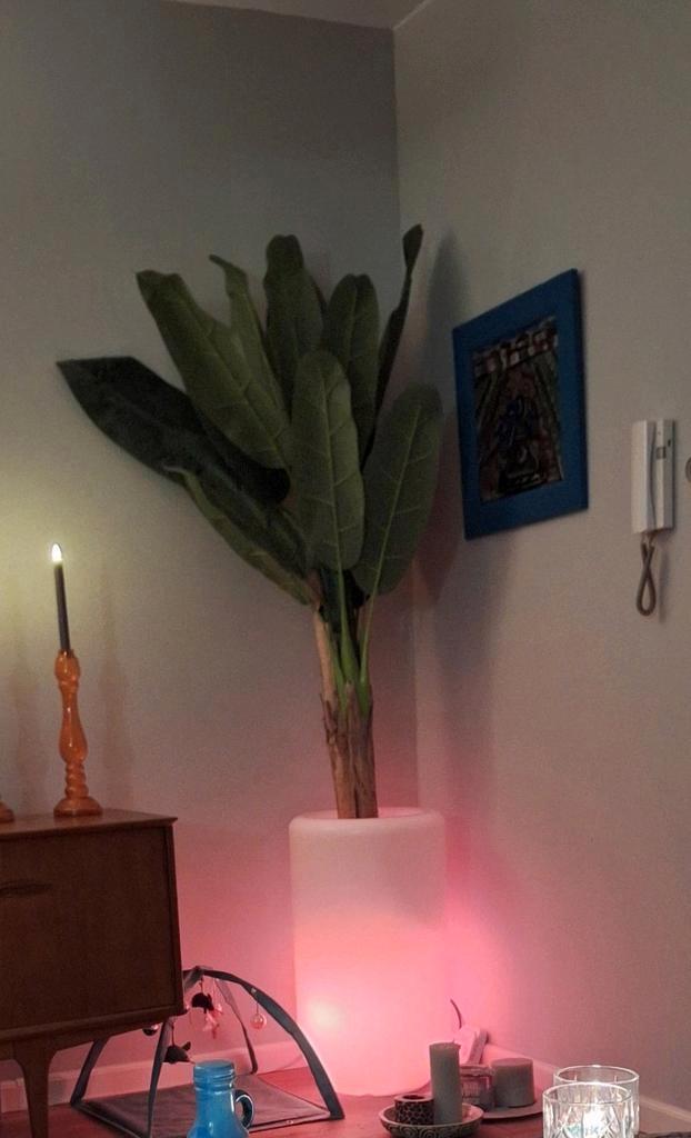 Plantenbak voor binnen met Verlichting, Huis en Inrichting, Lampen | Vloerlampen, Zo goed als nieuw, 100 tot 150 cm, Kunststof