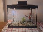 Aquarium, Dieren en Toebehoren, Ophalen, Gebruikt, Leeg aquarium