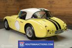Austin-healey 3000 MK1 Race Car |Route 66 Auction, Auto's, Oldtimers, Overige merken, Stof, Bedrijf, Handgeschakeld