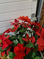 kunst kerstster rood met pot, Ophalen of Verzenden, 'T Olde Gre-j, Info@toldegrej.nl, Endepoelstraat 20f Didam