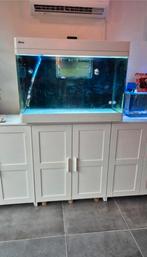 Zeeaquarium compleet te koop met alle apparatuur, Dieren en Toebehoren, Vissen | Aquaria en Toebehoren, Ophalen of Verzenden, Zo goed als nieuw