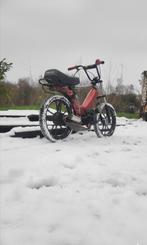 Tomos 65cc Moped - 19mm Carb, Fietsen en Brommers, Brommers | Tomos, Ophalen, Gebruikt, Overige modellen, 65 cc