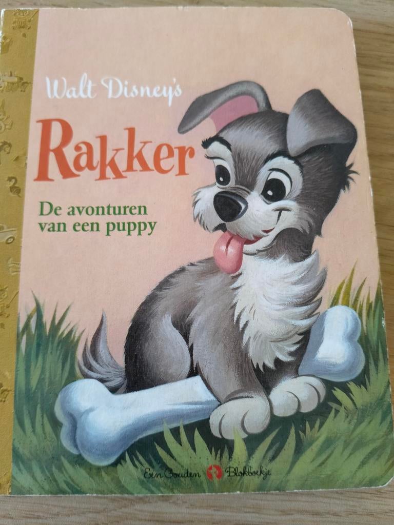 Rakker - De avonturen van een puppy - Een gouden blokboekje, Ophalen of Verzenden, Zo goed als nieuw, 2 tot 3 jaar, Annie North Bedford