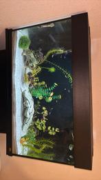 Aquarium/Terrarium, Onderkast, Heater(200W) Filter, Ophalen, Zo goed als nieuw, Leeg aquarium