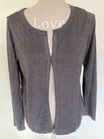 Vestje met lange mouwen - M&S Mode, Kleding | Dames, Truien en Vesten, Overige kleuren, Maat 42/44 (L), Ophalen of Verzenden, Gedragen