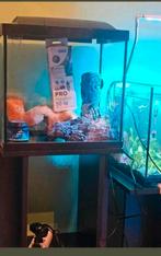 Superfish start 30 aquarium compleet, Ophalen, Zo goed als nieuw, Leeg aquarium