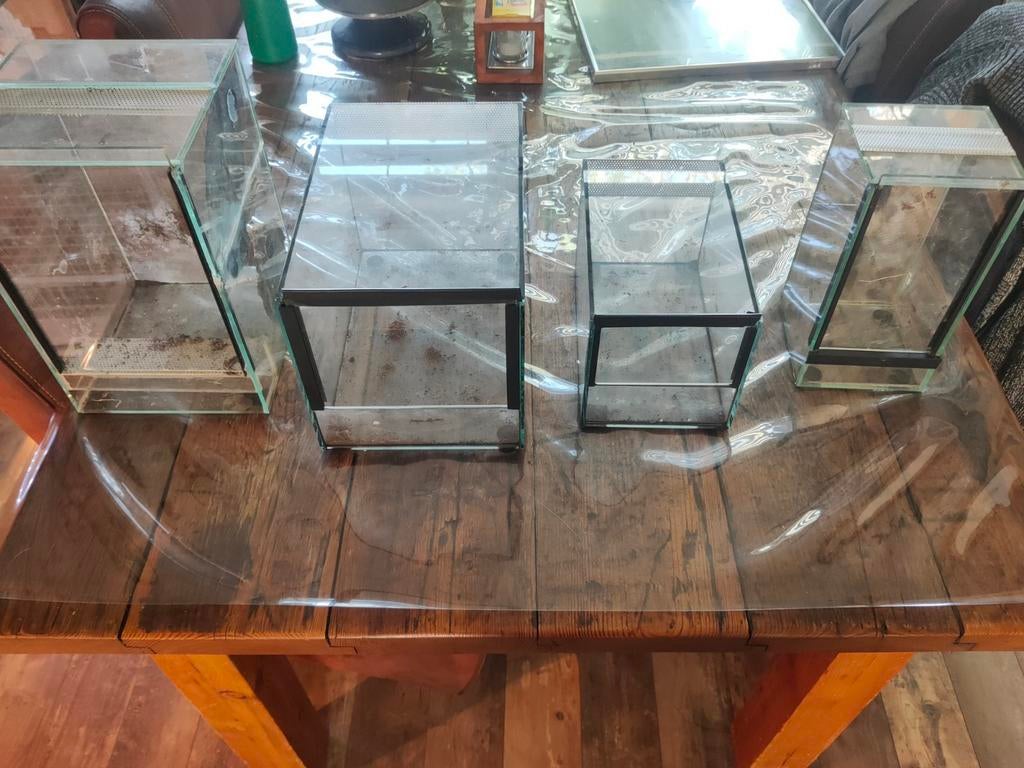 4x terrarium, Dieren en Toebehoren, Ophalen